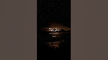 (وننزل من القرآن ما هو شفاء) القارئ: سعد الغامدي
