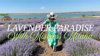 Lavender Paradise with Mistress Milana
