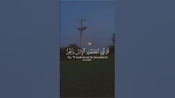 ياسر الدوسري – قرآن كريم 🌿🌿🌿🌸 #اكسبلور #الرحمن #لايك #المراه #تيك_توك #المراره #ترند #الثامن #دويتو
