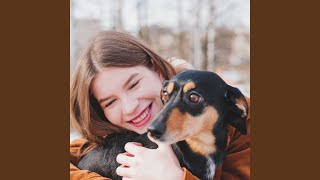 Lofi's Gentle Pet Caress