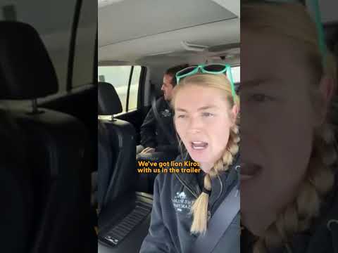 Ã Youtube