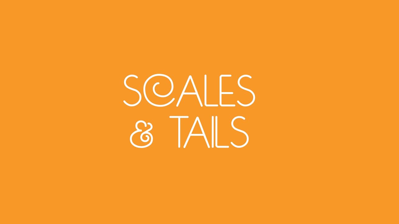 Scales & Tails Zoo Camp - SANTA BARBARA ZOO