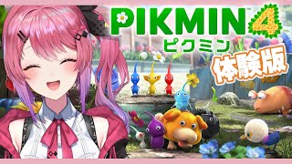 【ピクミン4/体験版】癒しを求めて…!! 小さい仲間と拳で大冒険だぁぁ！【倉持めると/にじさんじ】