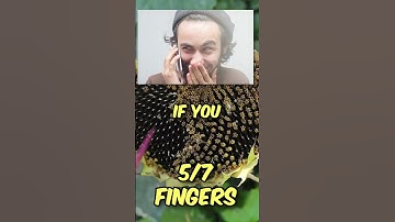 Things only lazy kids do 🤪😳 Put a Finger Down #shorts #fingerdown  #fingerdownchallenge