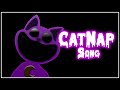 Catnap song