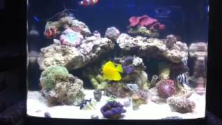 Royal Aqua World Inc