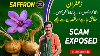 Saffron Scam exposed | Growing 'SAFFRON' for earning. Real Facts 