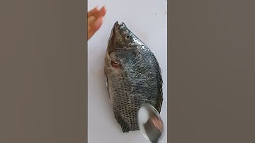 fried whole tilapia for lunch #fried #tilapia #food #foodie #shortvideo
