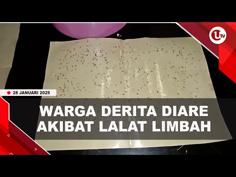 LALAT LIMBAH TERNAK AYAM RESAHKAN WARGA TANJUNG KAPUR BINTAN | U-NEWS