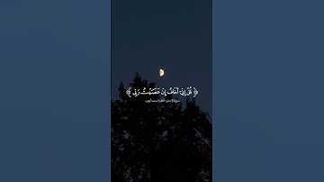 قل أغير الله أتخذ وليا فاطر السماوات والأرض | القارئ #محمد_أيوب