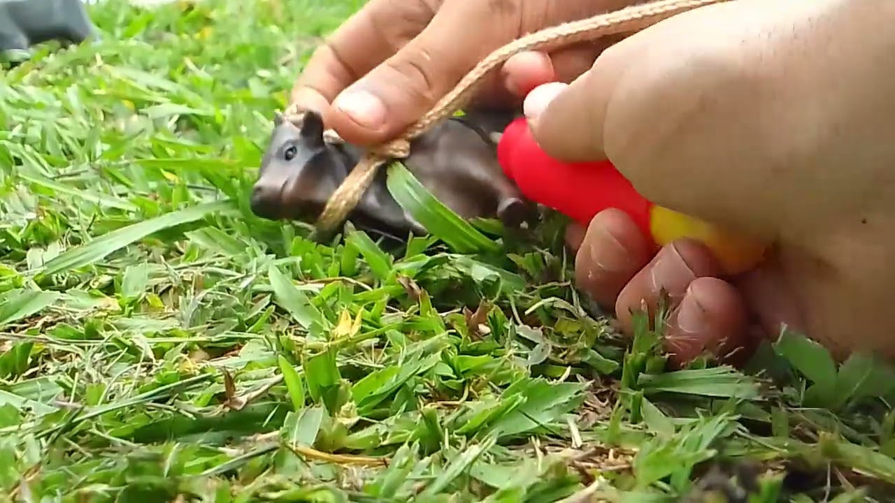 22 de dezembro de 2025