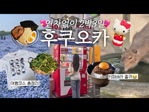 연차 없이 후쿠오카 2박3일 여행 🇯🇵|인생맛집 총정리 브이로그💖 하카타 텐진맛집, 캐널시티, 모모치해변, 우미노나카미치