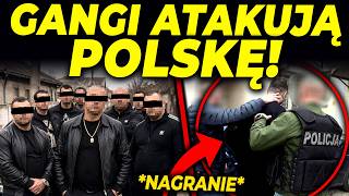 NALOT GANGÓW IMIGRANTÓW NA POLSKĘ!