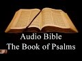 The Book of Psalms - NIV Audio Holy Bible - High Quality and Best Speed - Book 19