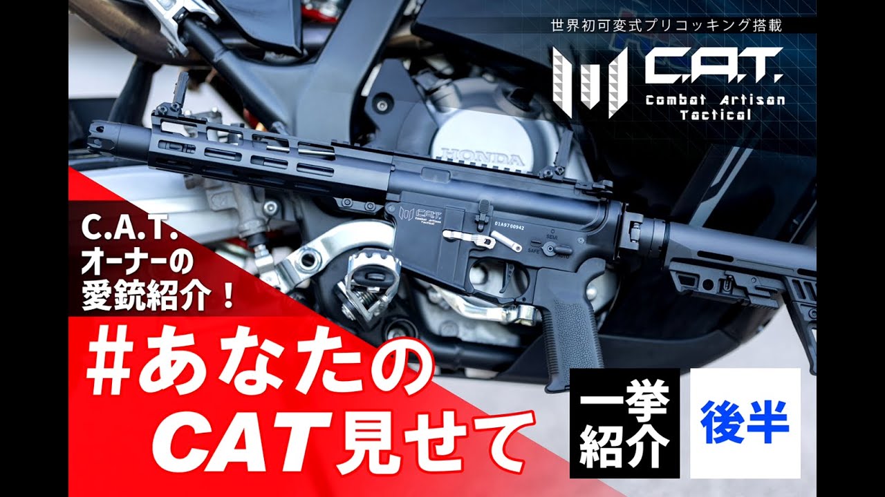 【人気企画】#あなたのCAT見せて 族長＆サワがご紹介！（後半）