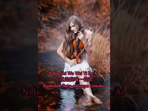 Ni Jiu Shi Wo Wei Yi De Ai--Pan Mei Chen