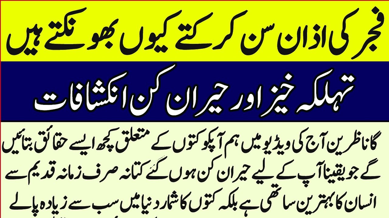 Fajar ki Azan sunkar kutte kyon bhonkate Hain ||Islamic video ||