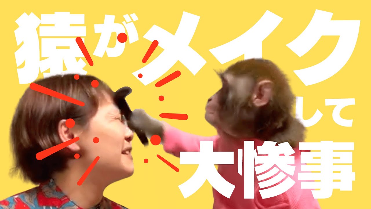 爆笑必至！日光さる軍団とっておきのおもしろ動画集 | おさるランド