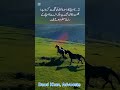# Horses # Nature Healing # Quotes # Motivation # Life Lessons # Deep Words # Relaxing Sound #