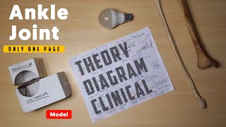 Ankle Joint | Theory, Diagram, Clinicals, and Model Explanation (Only One Page) | Strategy | TCML