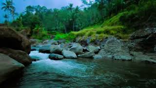 Echoes of the River Spirit – Immersive ASMR for Tranquility
