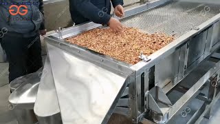 Industrial Peanut Chopping Machine| Peanut Kernel Cutting System
