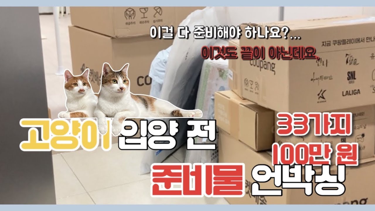 🐱고양이 입양 전 준비물 언박싱!!📦 | 33가지 총 100만 원💵 | 입양 전 필수 영상 (ft.원룸에서 고양이 키우기..)