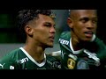 PALMEIRAS GANÓ y es MÁS LÍDER QUE NUNCA | Resumen Palmeiras 1x0 Cuiaba #Brasileirao