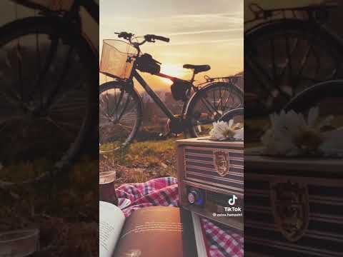 قال إيه بيسألوني عنك يا نور عيوني قال إيه مقعول كون بحبك أكتر من نفسي وردة الجزائرية