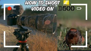 Shooting Video On The Nikon D500 Tips And Tricks