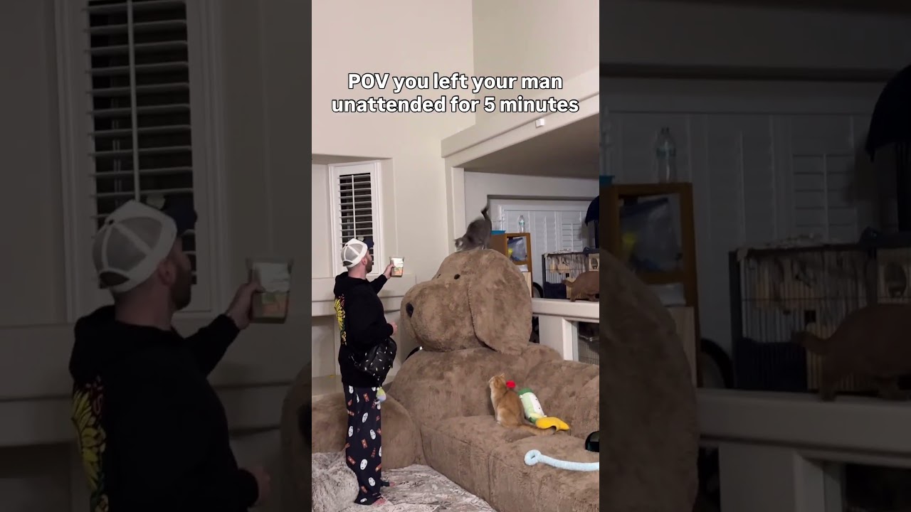 Asteroid learned a new trick 🤩