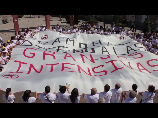 Gamonal graba su versión de 'Despacito' contra las macrogranjas porcinas