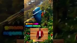 #life #success #support #subscribe #intersting #important #message #best #top #near #birds #facebook