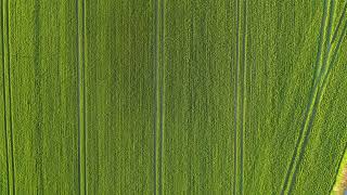 Drone West Charleton, Devon