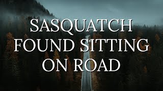 Couple Encounters Sasquatch Sitting in the Middle of the Road Near Denali