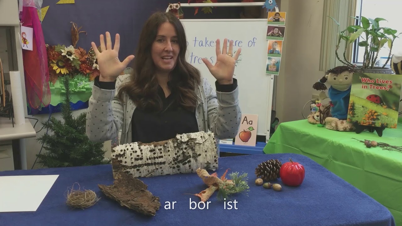 Who Takes Care of Trees YouTube