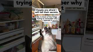 people think i’ll spill their secrets but i can’t even remember why i opened the fridge