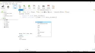 How to  SELECT DISTINCT Statement : MYSQL