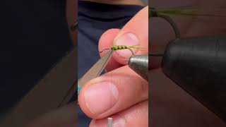 So easy but so affective!! Green drake dry fly! #flytying #fishing