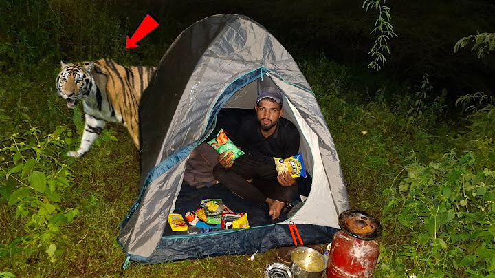 24 Hours On Mountain... With Peace | Solo Camping jungle 😱 100% Real