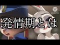【ケモノ】発情期とは※音量注意#ケモナー #furry #ズートピア #ケモノ#memes 