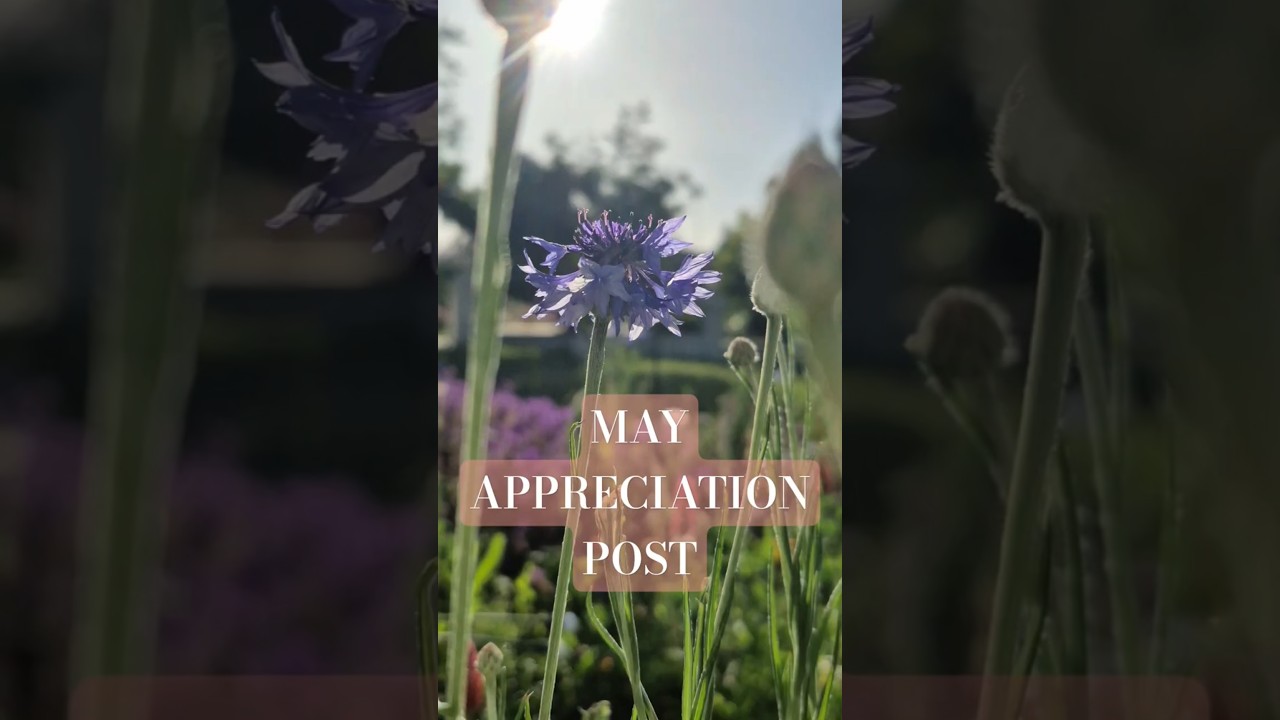 May Appreciation Post. 