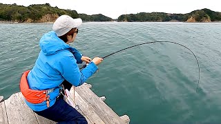 【衝撃】泳がせ釣りで、重い何かに引っ張られる！