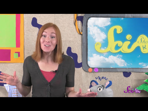 Why Is The Sky Blue Physics For Kids