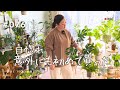 【一目惚れ】買ったのは初めて（Vlog/076）