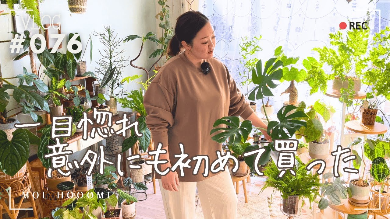 【一目惚れ】買ったのは初めて（Vlog/076）