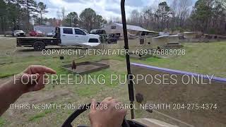 BLACKWATER FARM TOUR 2