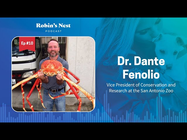 Robin's Nest Podcast, Ep. 10: Dr. Dante Fenolio, VP of Conservation & Research, San Antonio Zoo