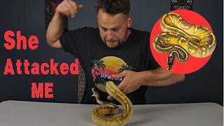 Ball Python Unboxing Gone Wrong!