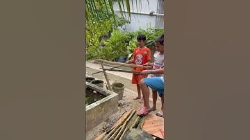 Câu Cá Trê Bạch Tạng Không Dùng Lưỡi # Shorts